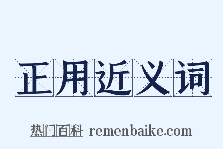 正用近义词是什么意思的图片